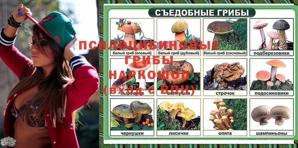 кокс Михайлов