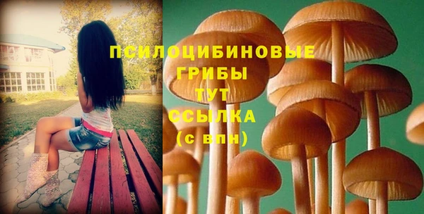 MDMA Медногорск